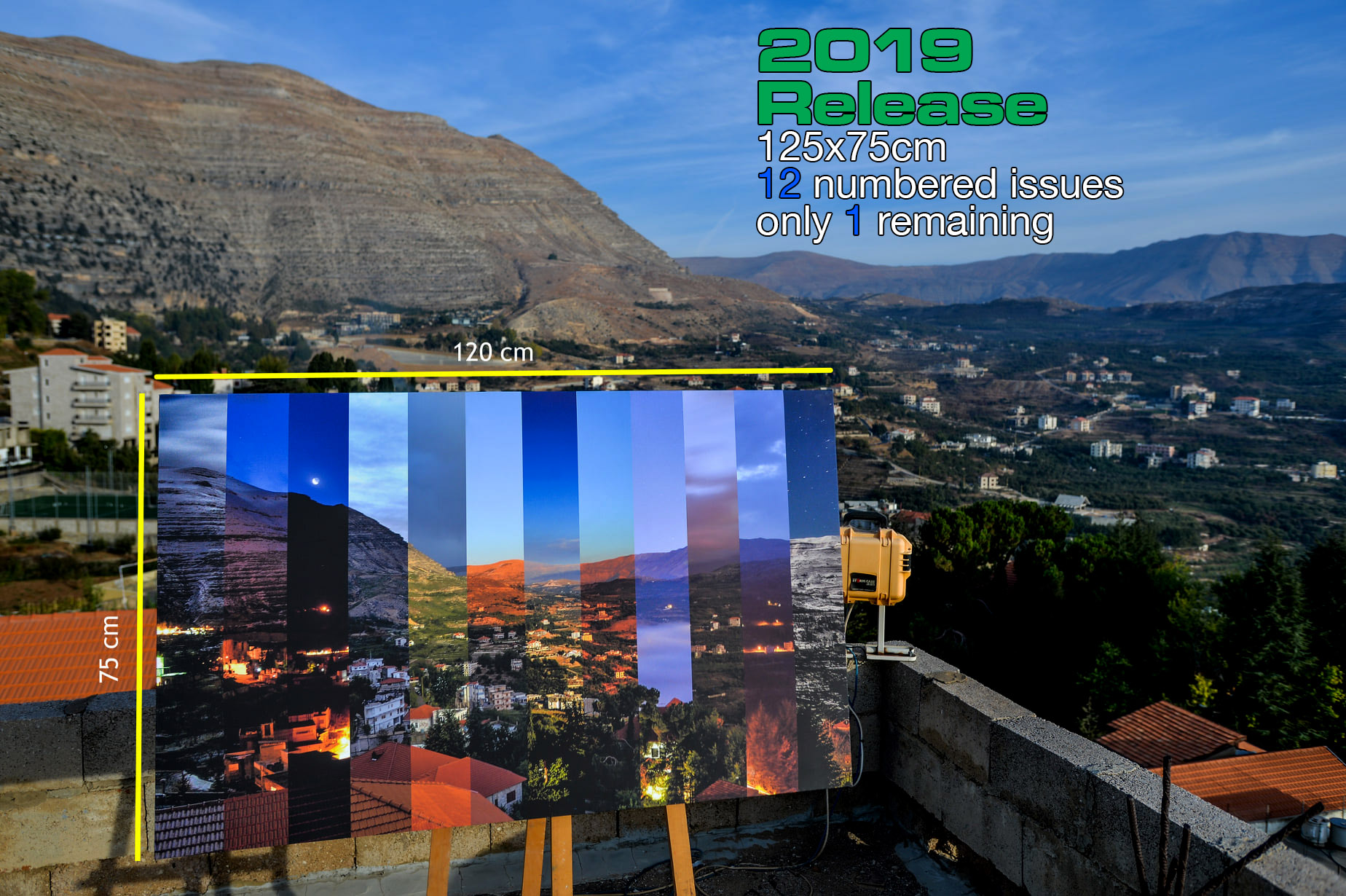 12 Months of Ehden 12-piece edition
